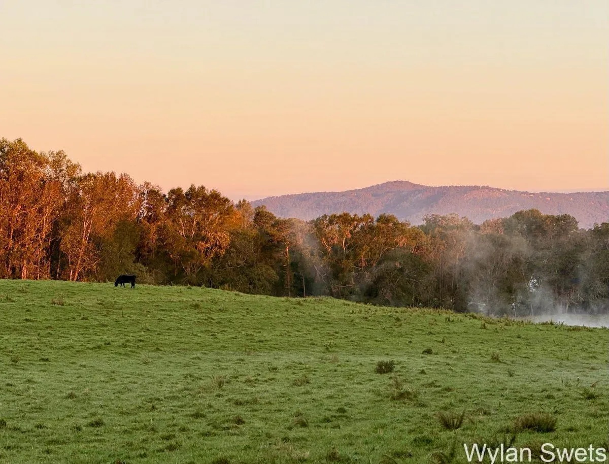 Photo by Wylan Swets