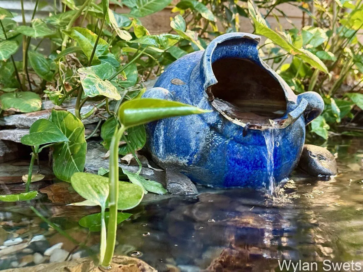 Photo by Wylan Swets