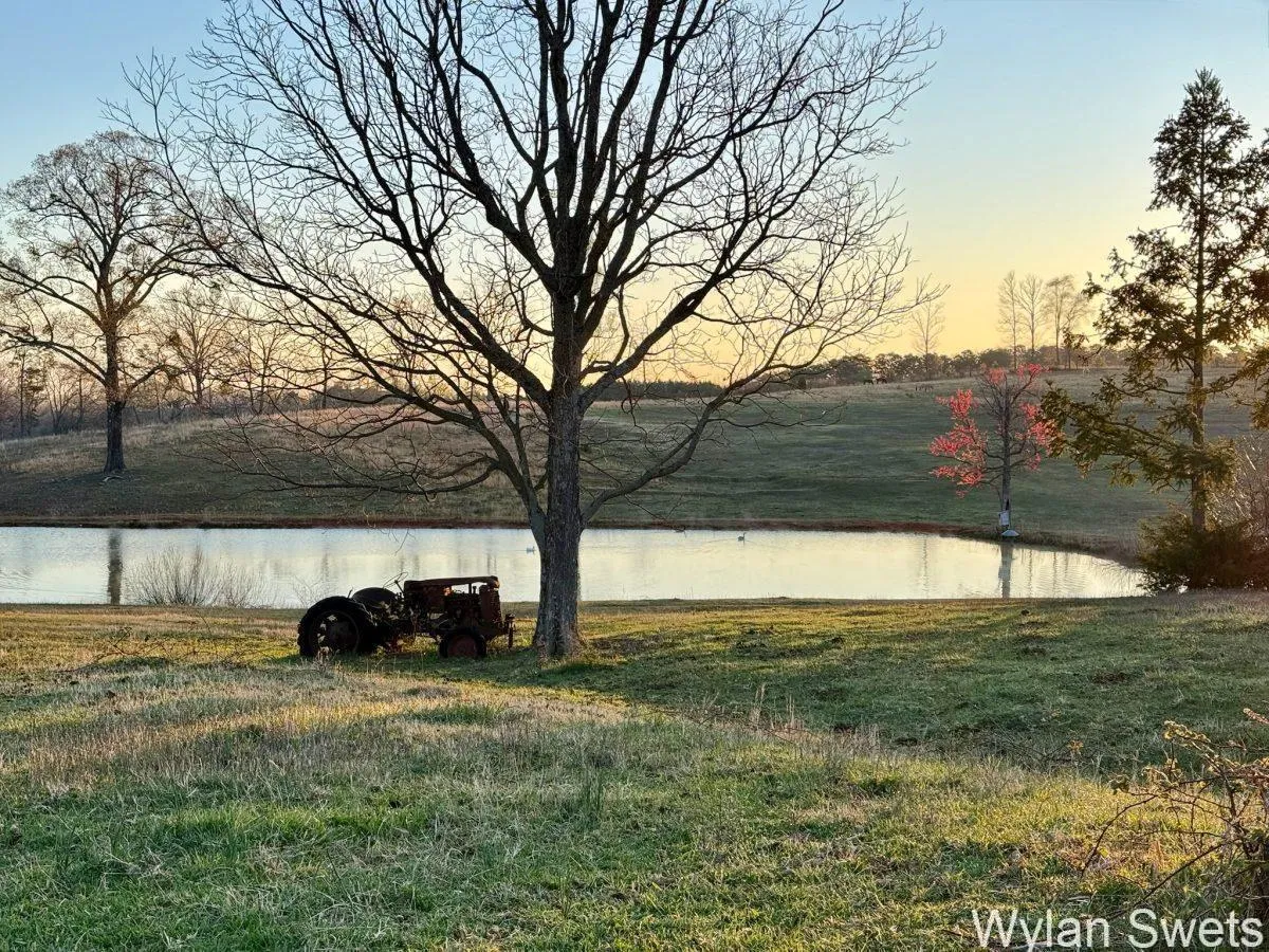 Photo by Wylan Swets