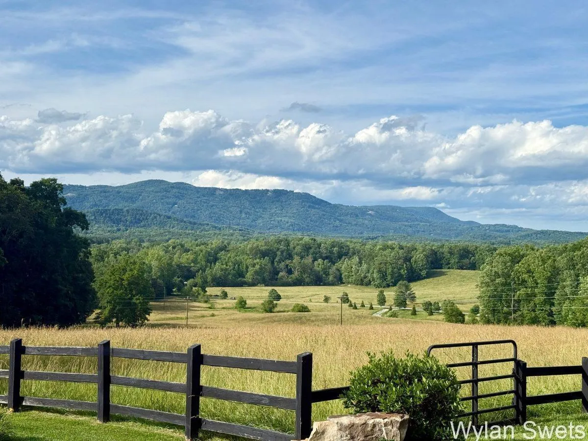 Photo by Wylan Swets