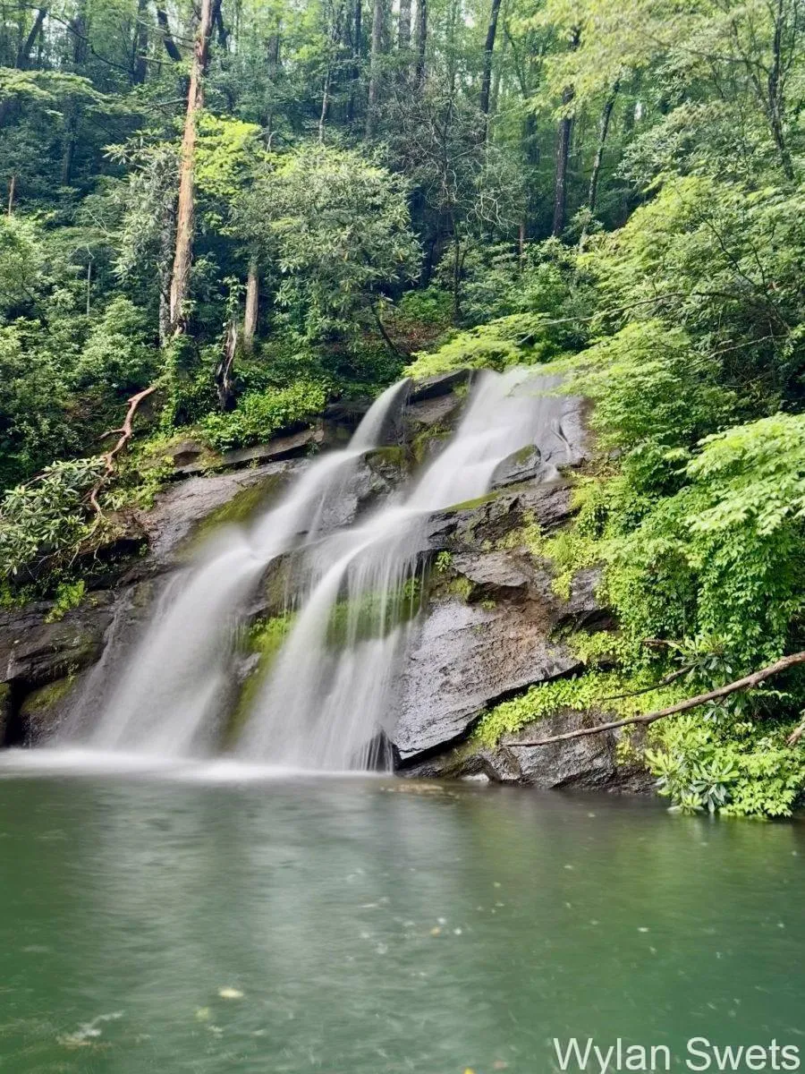 Photo by Wylan Swets