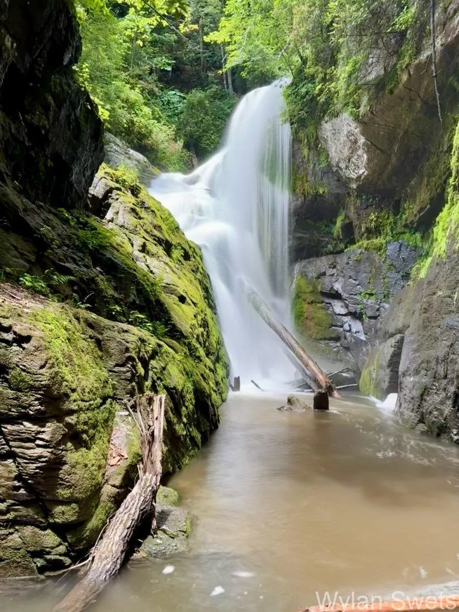 Photo by Wylan Swets