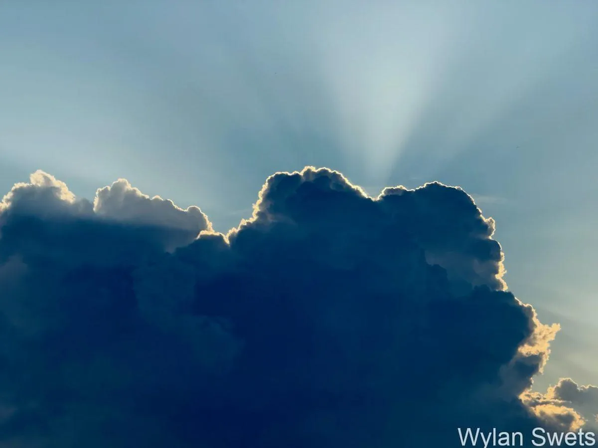 Photo by Wylan Swets