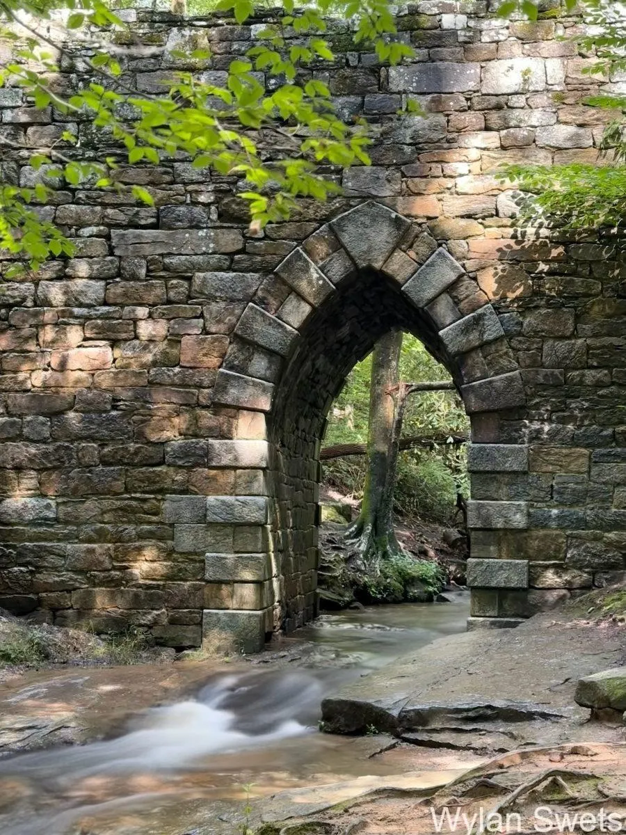 Photo by Wylan Swets